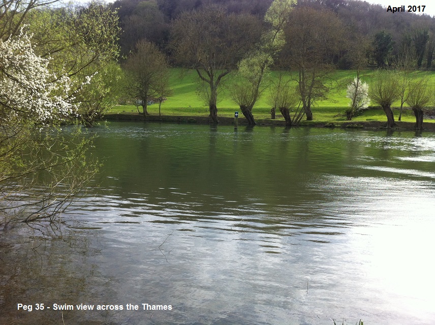 FAR BANK VIEW